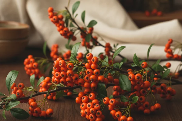 Clusters of vivid orange pyracantha berries on a rustic walnut surface in warm natural light
